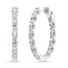 14K White Gold 2 1/2 Ct.Tw. Labgrown Diamond Vertical Oval Shape In and Our Hoop Earrings